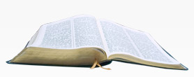 Online Bible Study Courses