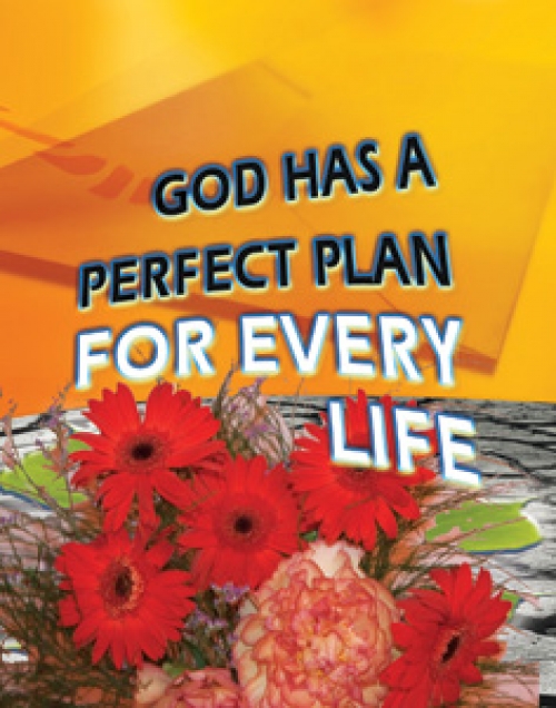God Has a Perfect Plan for Every Life
