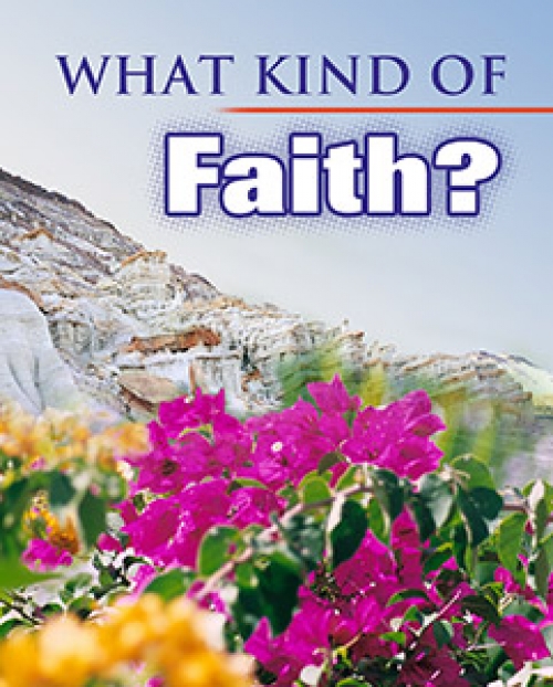 What Kind of Faith?