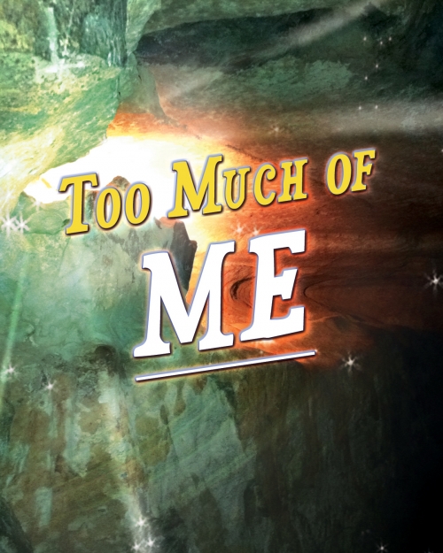 Too Much Of Me